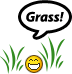 N1grass