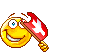 FLAG_S~2