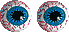 auge_0001