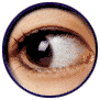 auge_0006