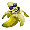 banane_0023