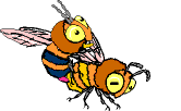 bienen_nehmen_sich_von_hinten