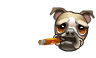 dog111