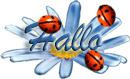 hallo