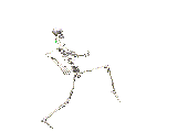skelett_0026
