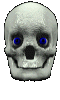 totenkopf_0082