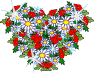 xlieb27