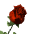 796