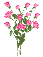 Blume00052
