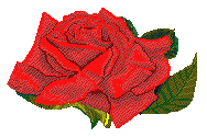 Blume00087