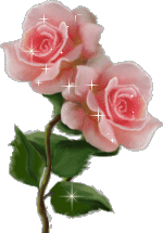blume00020