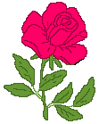 blume10