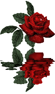 rose_ani