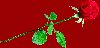 thumb_bl_r08.gif