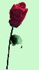 thumb_blum5hh3.gif