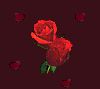 thumb_rose.gif