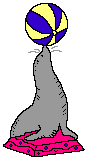 robbe4
