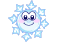 HOXmasCsnowflakesA016