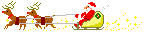 HOXmasDsleighkl015