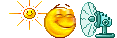 i4al8c3p6rr